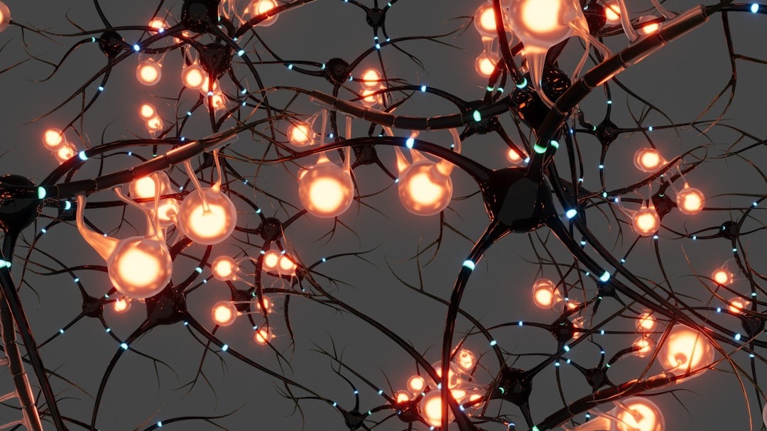 How Neurotransmitters Interlink with Behaviour